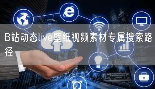 B站动态live壁纸视频素材专属搜索路径