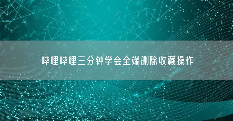 哔哩哔哩三分钟学会全端删除收藏操作