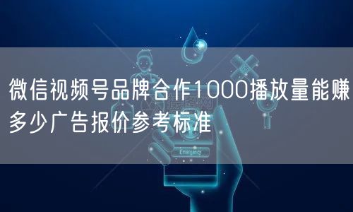 微信视频号品牌合作1000播放量能赚多少广告报价参考标准
