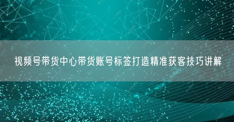 视频号带货中心带货账号标签打造精准获客技巧讲解