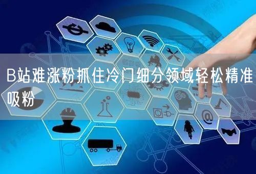 B站难涨粉抓住冷门细分领域轻松精准吸粉