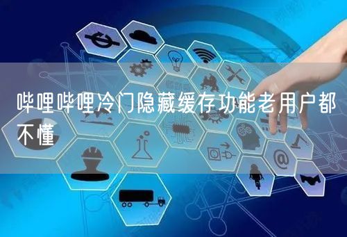 哔哩哔哩冷门隐藏缓存功能老用户都不懂