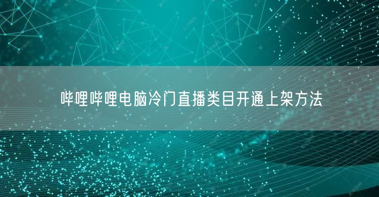 哔哩哔哩电脑冷门直播类目开通上架方法
