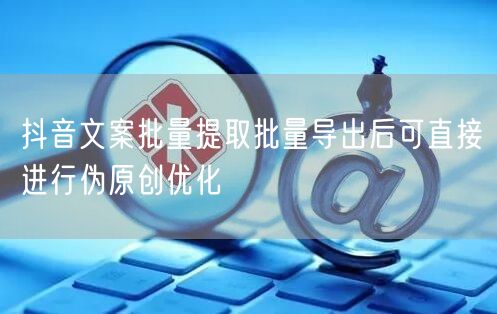 抖音文案批量提取批量导出后可直接进行伪原创优化