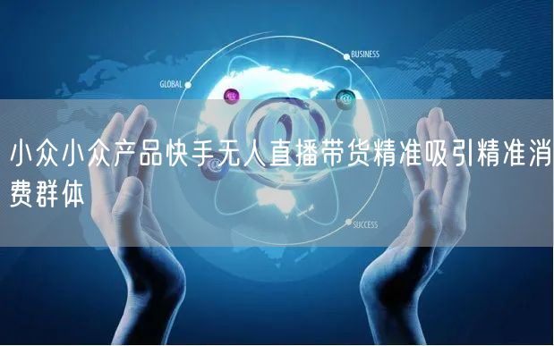 小众小众产品快手无人直播带货精准吸引精准消费群体