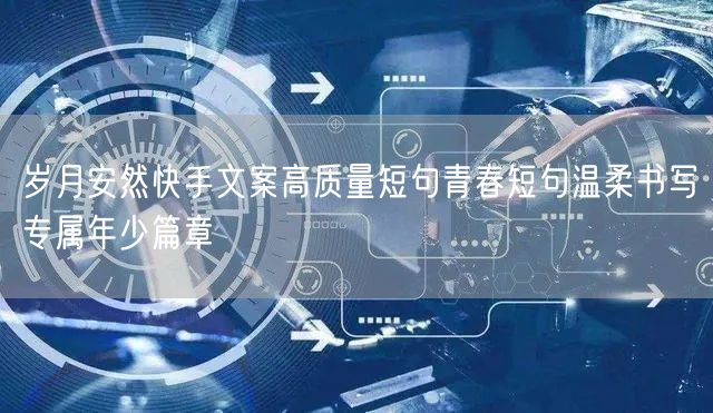 岁月安然快手文案高质量短句青春短句温柔书写专属年少篇章