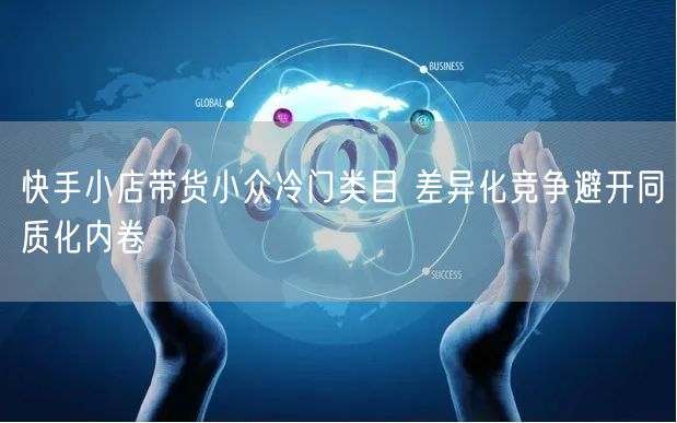 快手小店带货小众冷门类目 差异化竞争避开同质化内卷