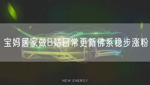 宝妈居家做B站日常更新佛系稳步涨粉