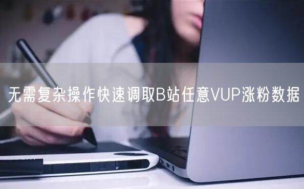 无需复杂操作快速调取B站任意VUP涨粉数据