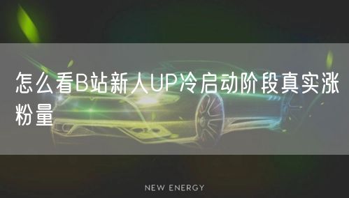 怎么看B站新人UP冷启动阶段真实涨粉量