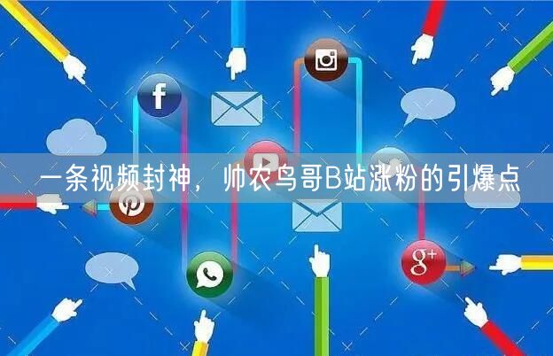 一条视频封神，帅农鸟哥B站涨粉的引爆点