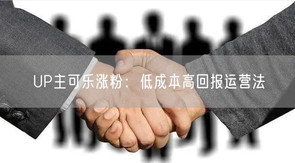 UP主可乐涨粉：低成本高回报运营法