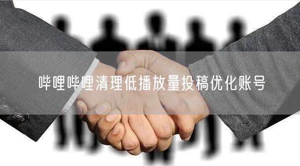 哔哩哔哩清理低播放量投稿优化账号