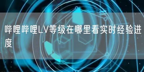 哔哩哔哩LV等级在哪里看实时经验进度