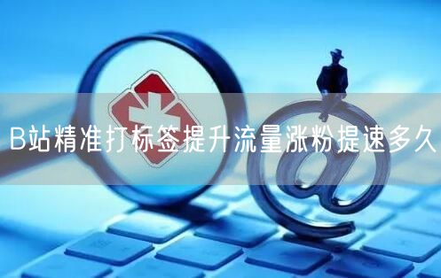 B站精准打标签提升流量涨粉提速多久