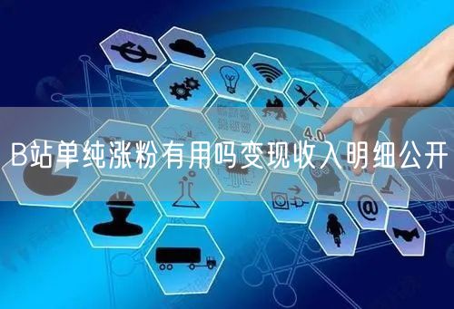 B站单纯涨粉有用吗变现收入明细公开