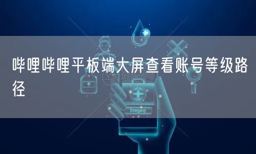 哔哩哔哩平板端大屏查看账号等级路径