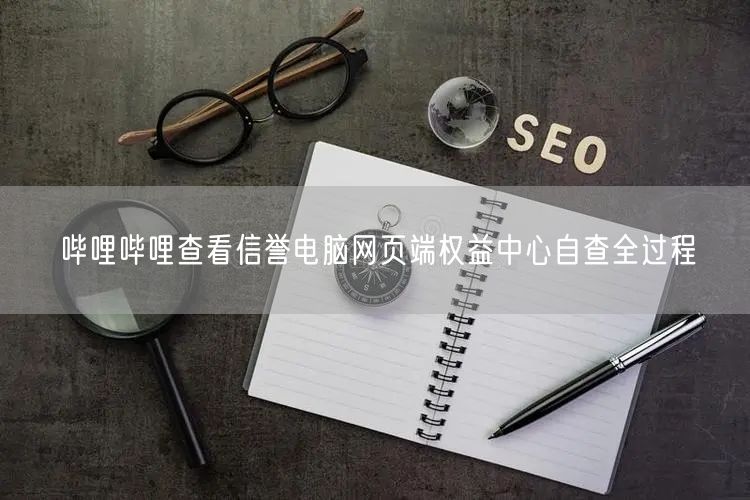 哔哩哔哩查看信誉电脑网页端权益中心自查全过程