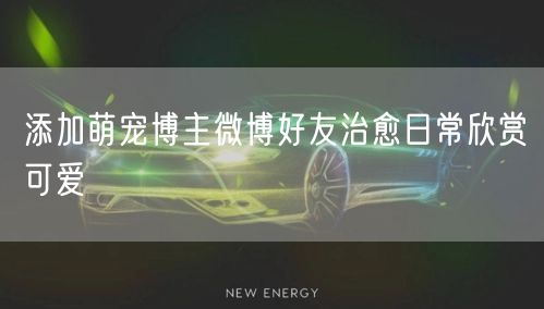 添加萌宠博主微博好友治愈日常欣赏可爱